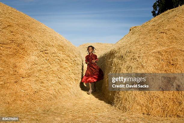 girl in hay stack - ethiopia stock-fotos und bilder