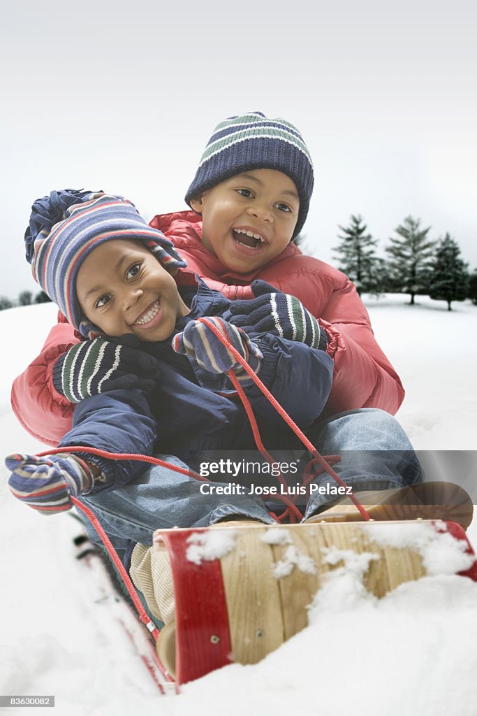 Brothers on a sled