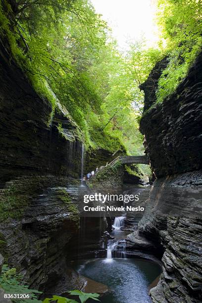 Gorge Example 101 Ithaca Gorge Stock Photos, High-Res Pictures, and Images - Getty Images