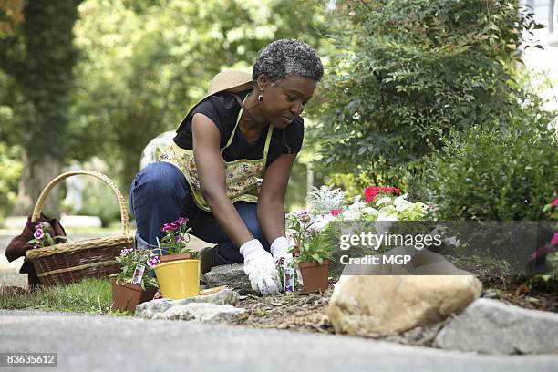 senior woman gardening - kneeling stock pictures, royalty-free photos & images
