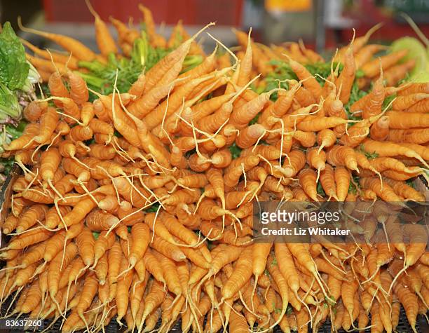 pile of carrots on market stall, close-up - granville island market stock pictures, royalty-free photos & images