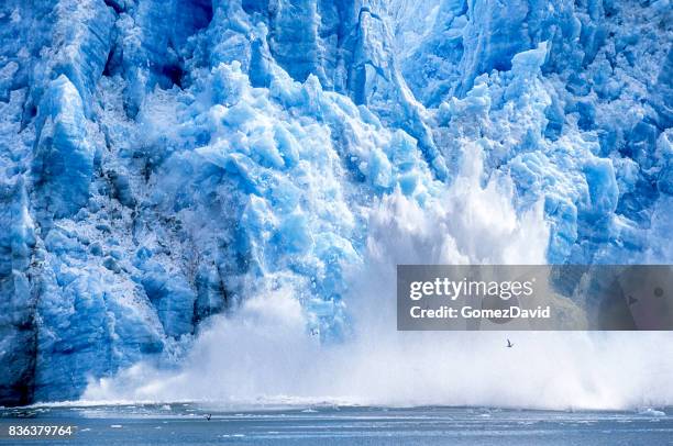 glaciären kalvning till alaskan bay - iceberg bildbanksfoton och bilder