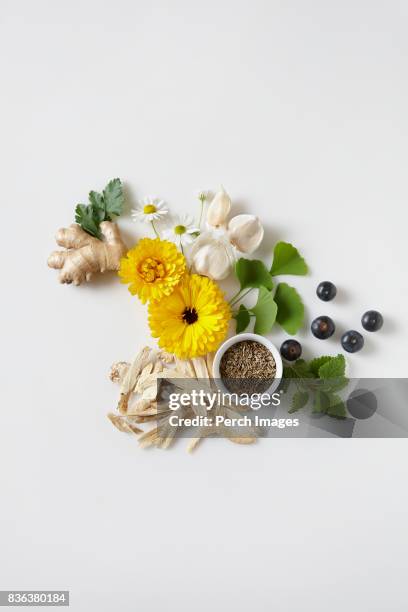 herbal healing - chrysanthemum parthenium stock pictures, royalty-free photos & images