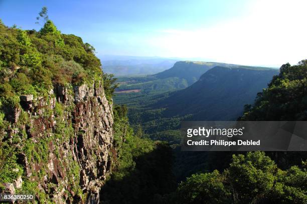 south africa, mpumalanga province, graskop, blyde river canyon, god's window panoramic view - blyde river canyon photos et images de collection