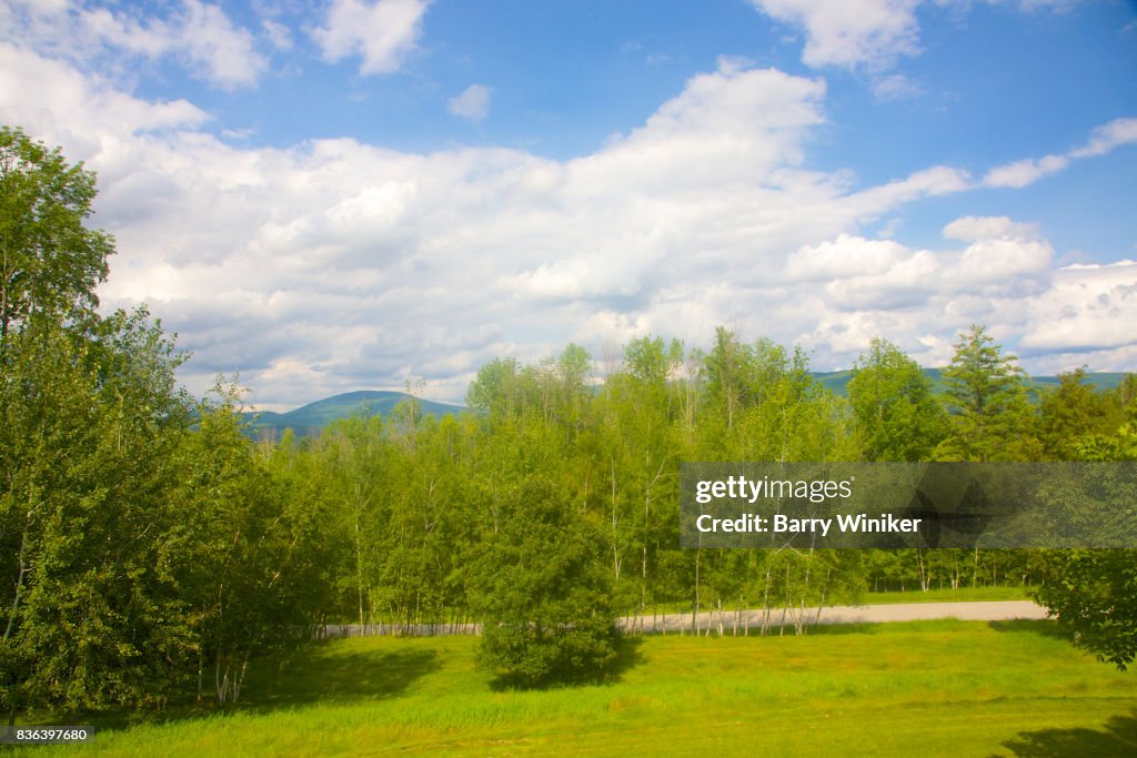 View from high up of trees, mountain and sky, The Berkshires