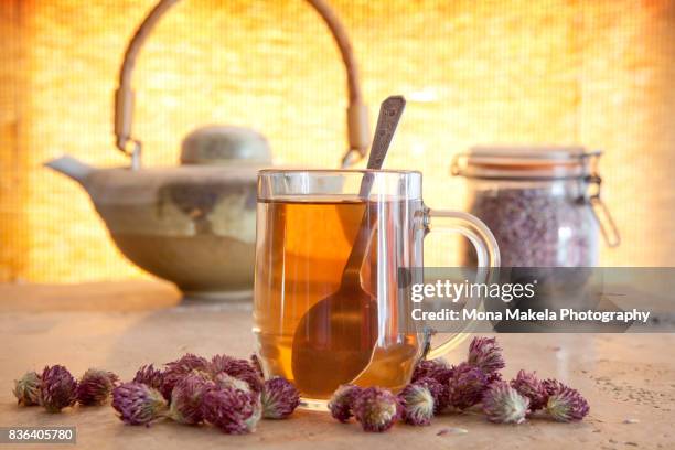 red clover tea - clover sprouts stock pictures, royalty-free photos & images