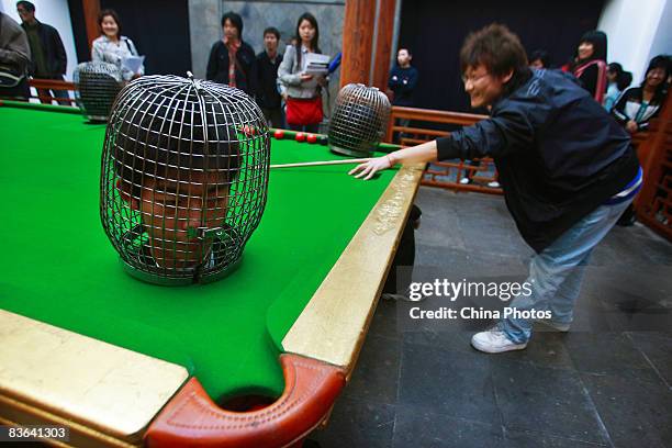 Table Knocking 173 Knocking Table Stock Photos, High-Res Pictures, and Images - Getty ...