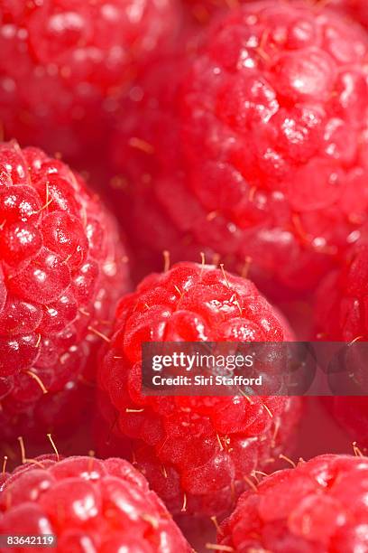 Raspberry's Pichers 1,875 Raspberries Macro Stock Photos, High-Res Pictures, and Images ...