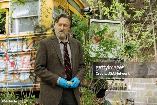 Part V" Episode 105 -- Pictured: Bill Pullman as Detective Harry Ambrose --