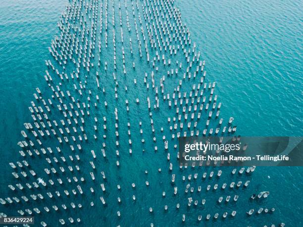 aerial view of the port melbourne and princess pier - melbourne aerial view stock pictures, royalty-free photos & images