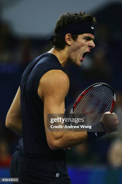 Juan Martin Del Potro of Argentina celebrates after winning his round robin match against Jo-Wilfried Tsonga of France in the Tennis Masters Cup held...