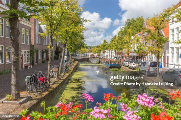 flowers and canal in delft - delft stock pictures, royalty-free photos & images