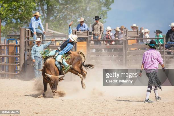 cowboy amerikaans stier rijden in rodeo arena - bull riding stockfoto's en -beelden