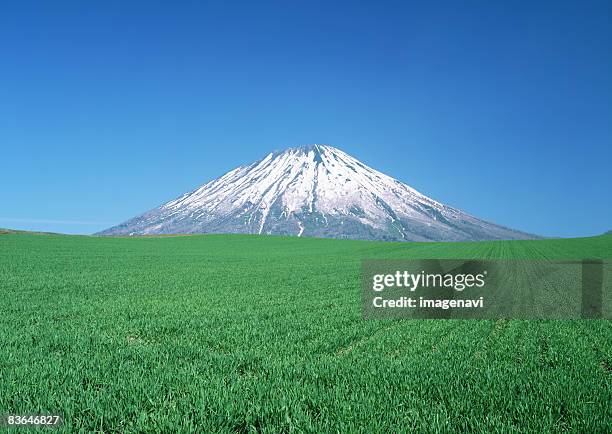 mount yotei and wheat field - vulkan yotei stock-fotos und bilder