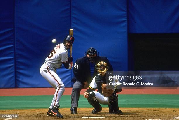 San Francisco Giants Barry Bonds in action, at bat vs Pittsburgh Pirates. San Francisco, CA 4/10/1993 CREDIT: Ronald C. Modra