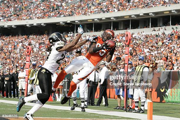 Cincinnati Bengals Chad Johnson in action, making catch and scoring touchdown vs Jacksonville Jaguars Rashean Mathis during 2nd quarter. Cincinnati,...