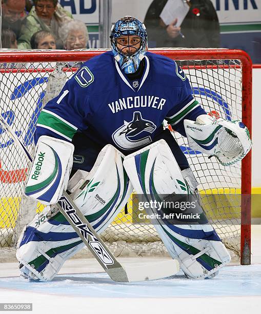 Roberto Luongo of the Vancouver Canucks stands in his crease during their game against the Minnesota Wild at General Motors Place on November 8, 2008...