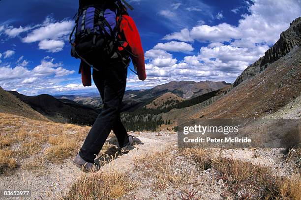 hiker walking a trail - continental divide stock pictures, royalty-free photos & images