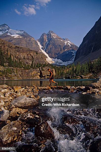 woman hiking near lake, canada - lago o'hara foto e immagini stock