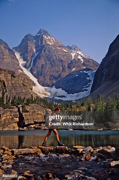 woman hiking near lake, canada - lago o'hara imagens e fotografias de stock