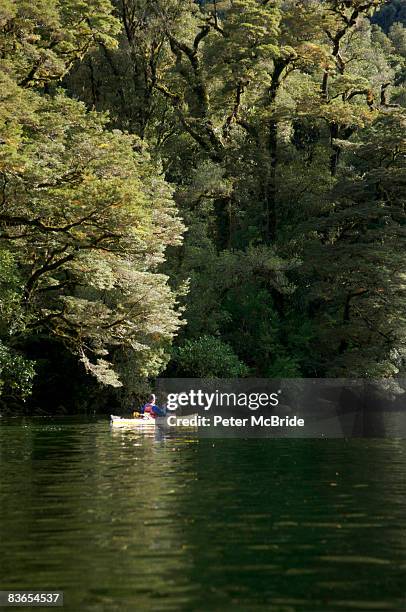 male sea kayaker in new zealand - doubtful sound stock-fotos und bilder