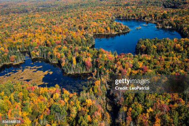 aerial view of canadian national park in autumn - ontario canada landscape stock pictures, royalty-free photos & images