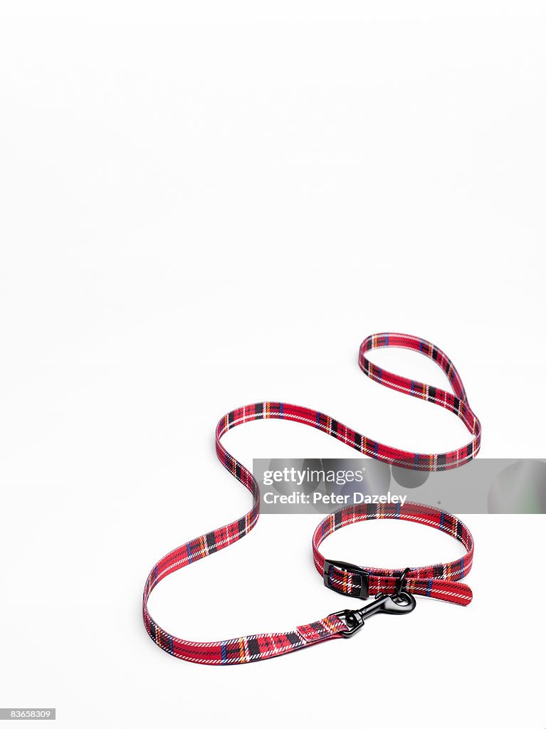 Tartan dog collar and lead