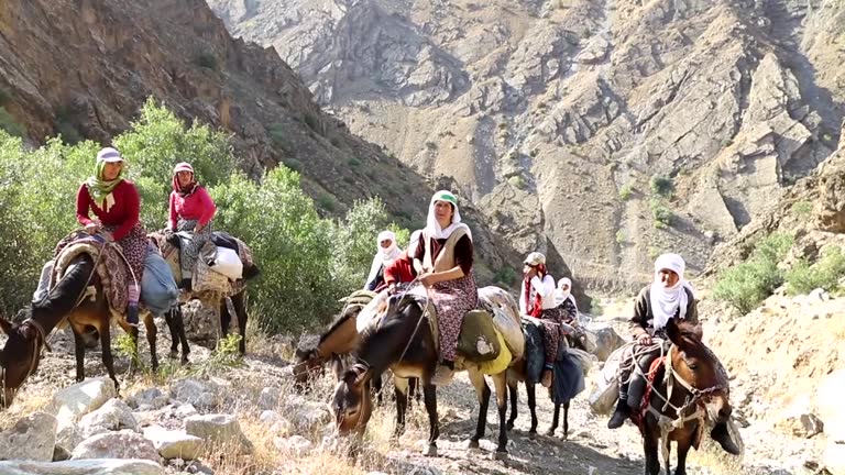 Turkey Riding Donkey 127 Woman Riding Donkey Stock Videos, Footage, & 4K Video Clips - Getty ...
