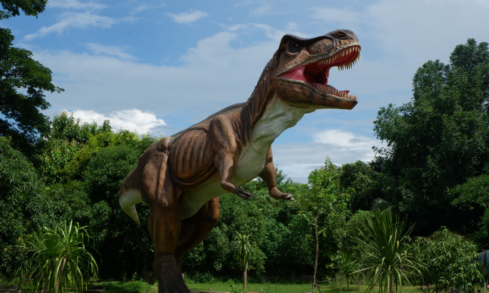 Chiang Mai, Thailand - 20/08/2017: Dinosaur model at hidden village park in Chiang Mai, Thailand. Chiang Mai, Thailand - 20/08/2017: Dinosaur model at hidden village park in Chiang Mai, Thailand.