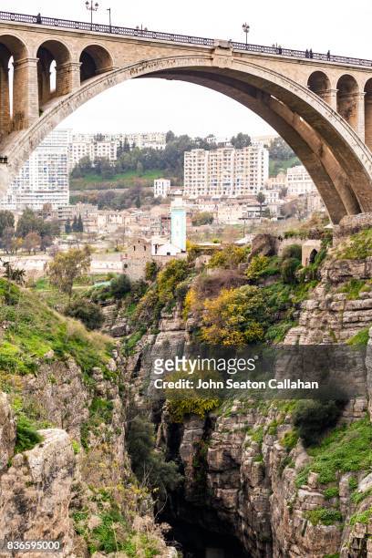 the sidi rached bridge - algeria city stock-fotos und bilder