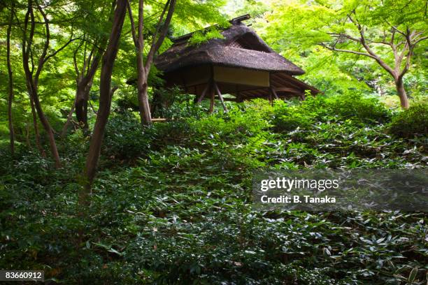 rikugien garden teahouse in tokyo, japan - 和室　無人 ストックフォトと画像