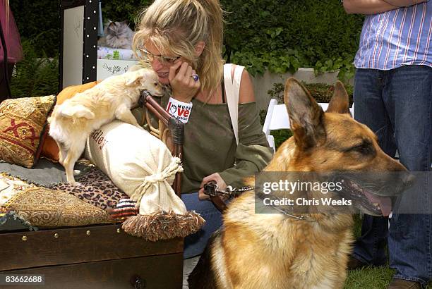 Rachel Hunter at Funky Fido