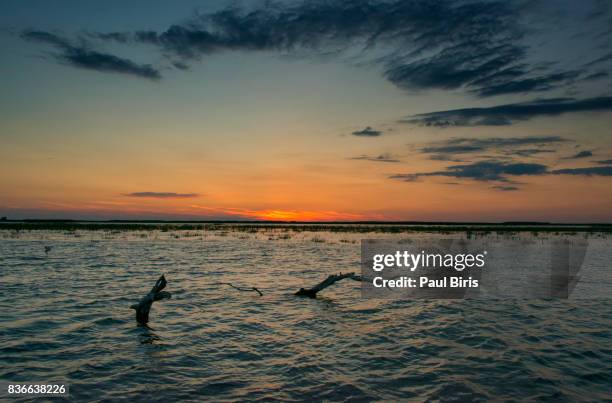 a beautiful sunset in the danube delta, romania - tulcea stock pictures, royalty-free photos & images