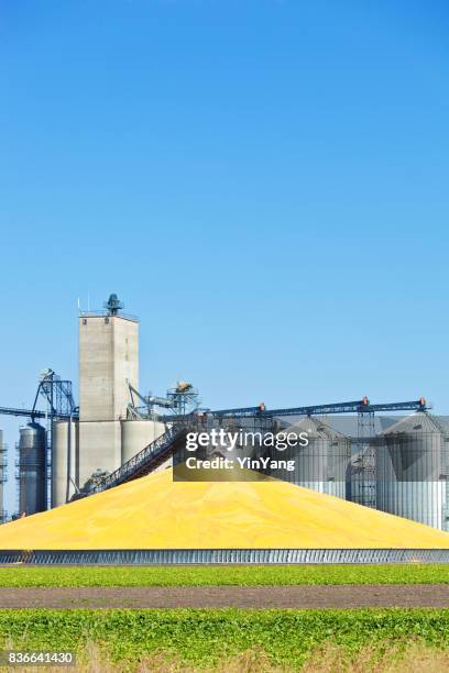 transformation de la plante et silos pendant la récolte dans la journée du maïs - éthanol photos et images de collection