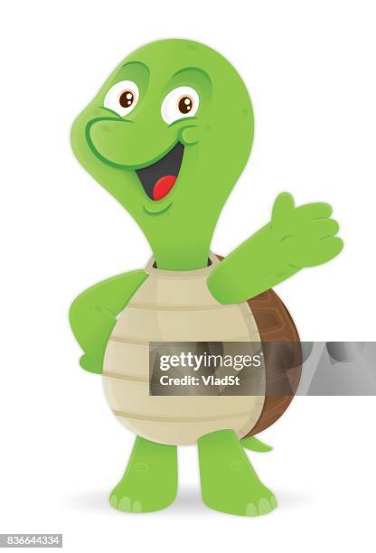turtle cartoon character mascot illustration - tortoise stock illustrations