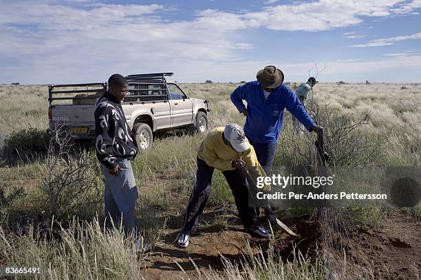 Gabriel Biwa , a sheep farmer, repairs a damaged fence on April 2, 2008 on his farm in Koichas, Namibia. Mr. Biwa has been one of the beneficiaries...