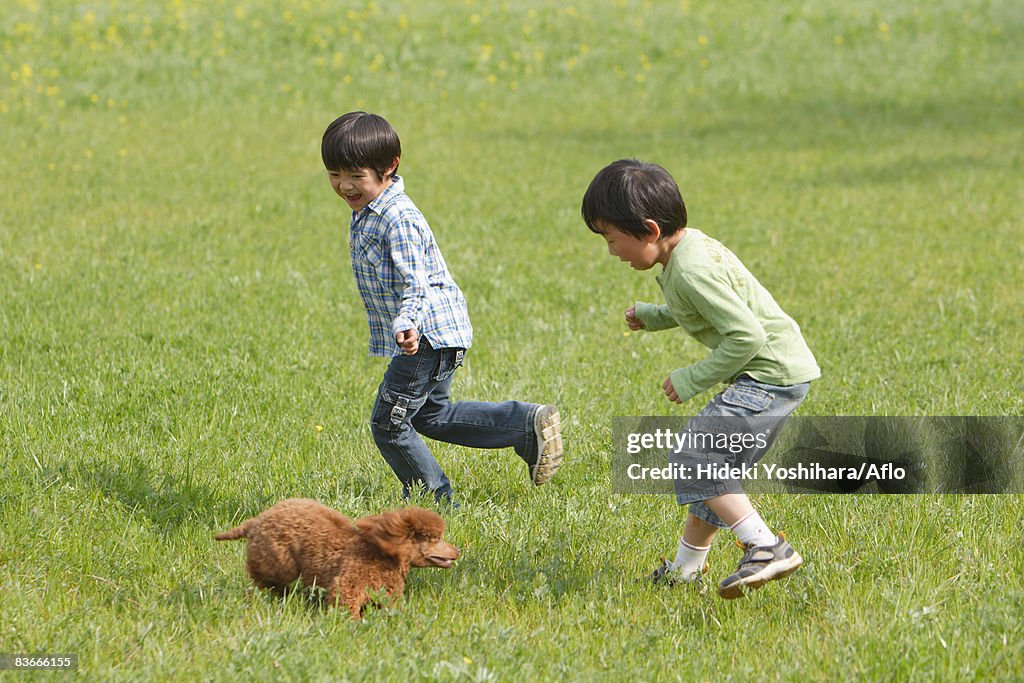 Children playing with a cute puppy in park
