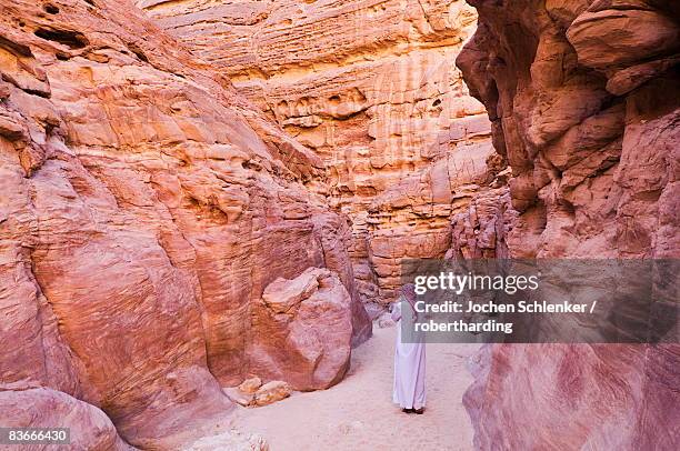 bedouin man in the colored canyon, near nuweiba, sinai, egypt, north africa, africa - nuweiba stock pictures, royalty-free photos & images