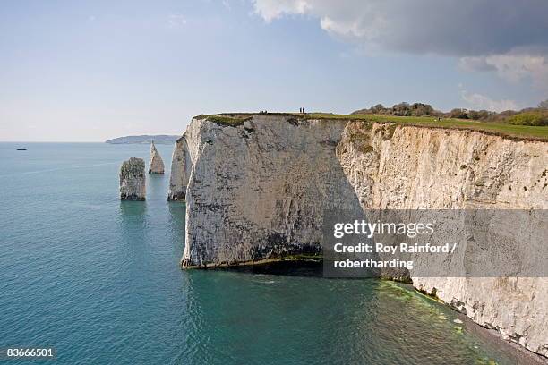 the pinnacles, studland, isle of purbeck, dorset, england, united kingdom, europe - baie de studland photos et images de collection