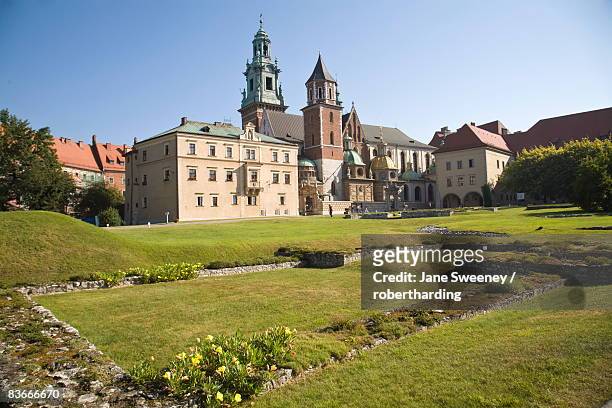 remains of ancient ruins in front of wawel cathedral, krakow, poland, europe - wawel cathedral stock pictures, royalty-free photos & images