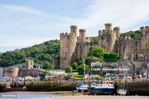 harbor and old castle in conwy, north wales, wales, uk - wales burg stock-fotos und bilder