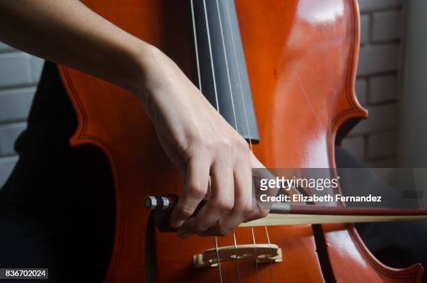 cellist - cello stock pictures, royalty-free photos & images