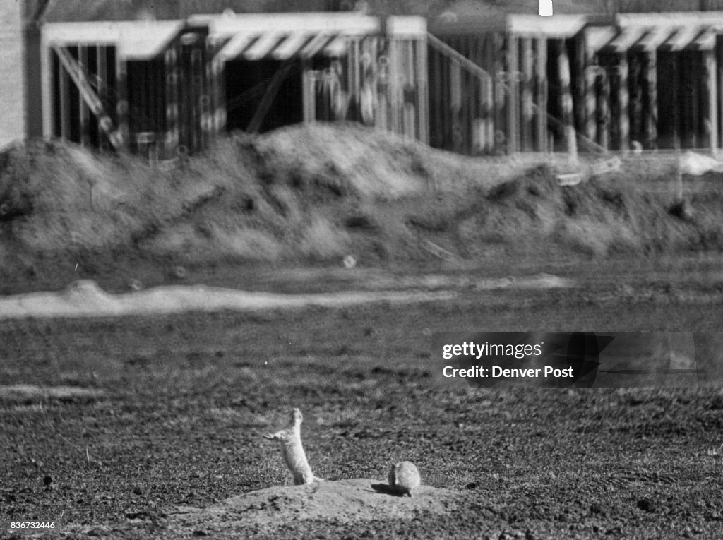 Denver Post Archives