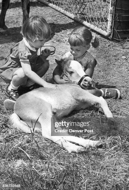 Karen Andrews, left 614 Newton St.m, and Mary Catherine Cupp, 11023 W. 63rd Place, get acquainted with "Raindrop," 10-day-old colt at Happy Valley...