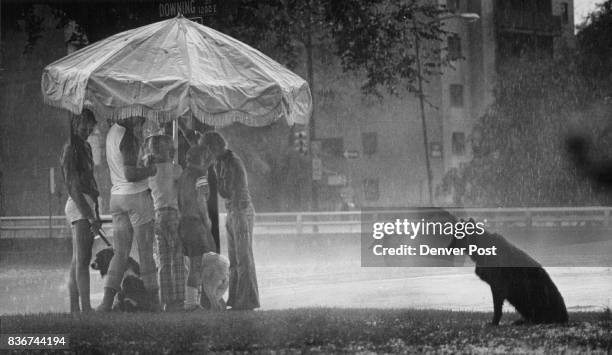 Dog days of Summer? A group of pedestrians share a large umbrella while one uncooperative Dog prefers the elements during heavy afternoon rain/hail...