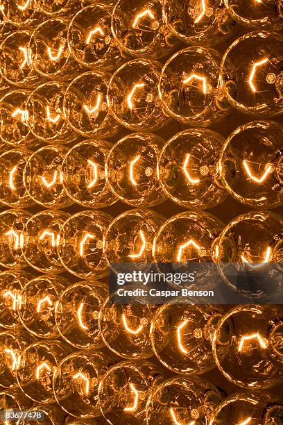 rows of light bulbs - lightbulbs in a row stock pictures, royalty-free photos & images