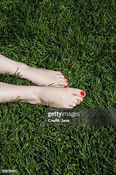a young woman's bare feet with red painted toenails lying on grass - womans bare feet fotografías e imágenes de stock