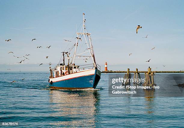 a fishing boat with seagulls flying around - fishing industry stock pictures, royalty-free photos & images