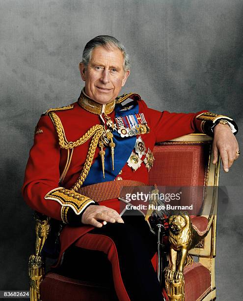 Prince Charles, Prince of Wales poses for an official portrait to mark his 60th birthday on November 13, 2008 in London, England.