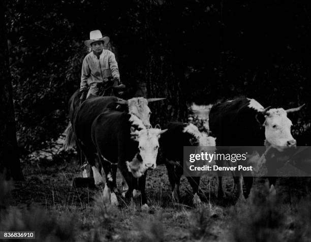 Indian Ranch Photos and Premium High Res Pictures - Getty Images